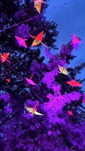 Свет и звук для вечеринки на террасе кафе смотреть онлайн