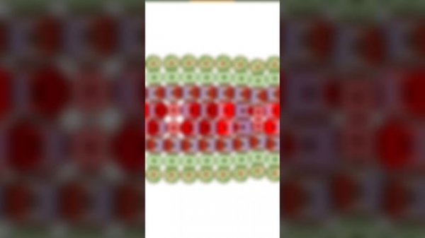 ГАЙД на МИОЦИТ Cell lab Селл лаб