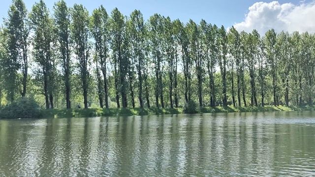 Поэзия в парке Победы смотреть онлайн