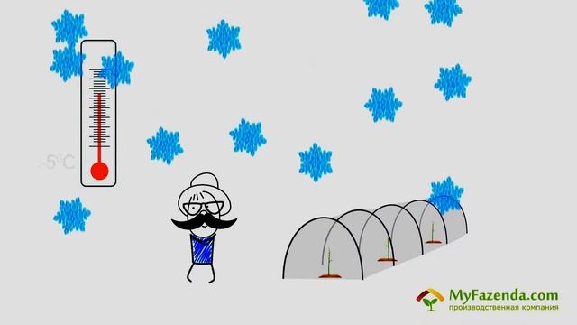 Парники в спб смотреть онлайн