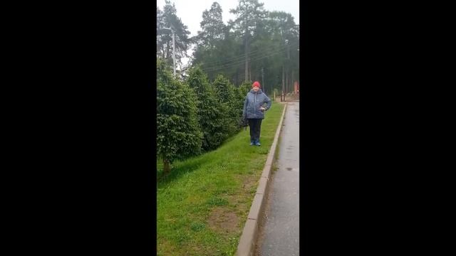 Леди душа Автор, музыка и поёт Влад Корнилов смотреть онлайн
