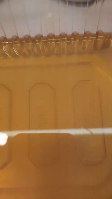 #Триходерма выращивание и размножение на водном раств смотреть онлайн