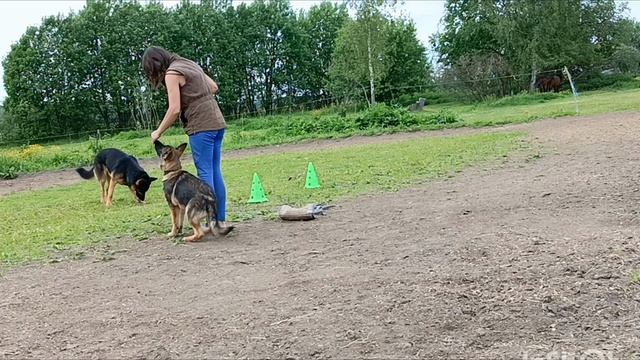 Дик Найт Эль'Тайм Леденящий душу, 4 месяца смотреть онлайн