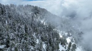 Весенняя смена сезонов года