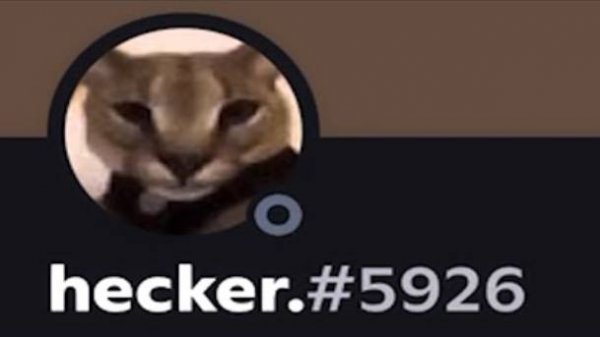 Когда Не Сделал Домашку _ Beluga [Русская Озвучка]