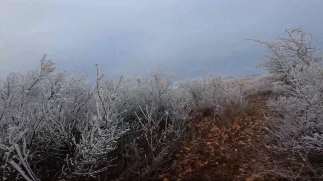 подъем на кабаний перевал чтобы снять видео для Марины - 19 декабря 2022 - часть 14 смотреть онлайн