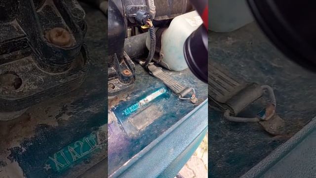 Вин номер на Ниве заржавел. Чистим вин номер на Ниве ла смотреть онлайн