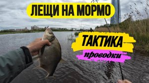 #мормышинг #рыбалка | Как поймать леща? | Рассказываю и показываю проводки |