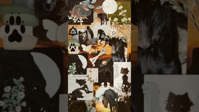 Вот абои для КВД, кому дальше искать обои?