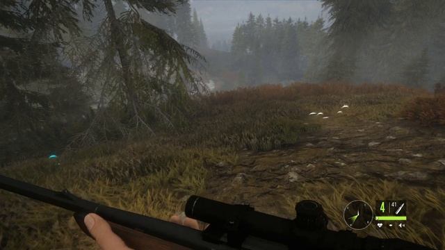 The Hunter Call of the Wild: Успей забрать бесплатно в EPIC GAMES до 2.12.2 смотреть онлайн