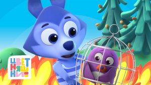 Природа в опасности: 15 добрых дел Цветняшек — Цветняшки — сборник — мультики для детей