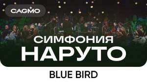 Оркестр и хор CAGMO – Симфония Наруто – Blue Bird