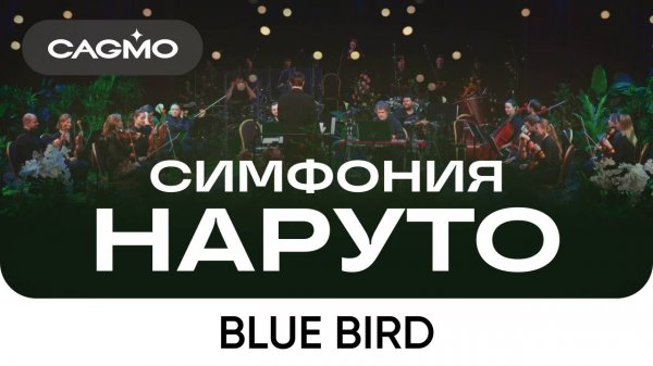 Оркестр и хор CAGMO – Симфония Наруто – Blue Bird