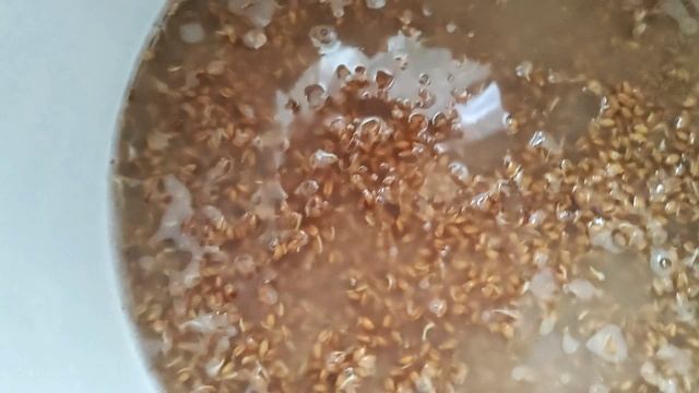 Брага на пшенице Хороший самогон получается.  Стоит это попробовать сделать.