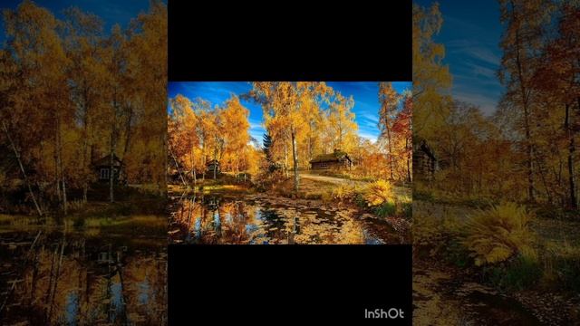 Для меня осень самое сказочное время года🧡🧡🧡.mp4 смотреть онлайн