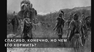 История бескультурья. История слонов на поле брани и на шахматной доске