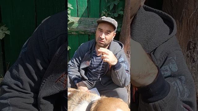 Специальные Триптихи