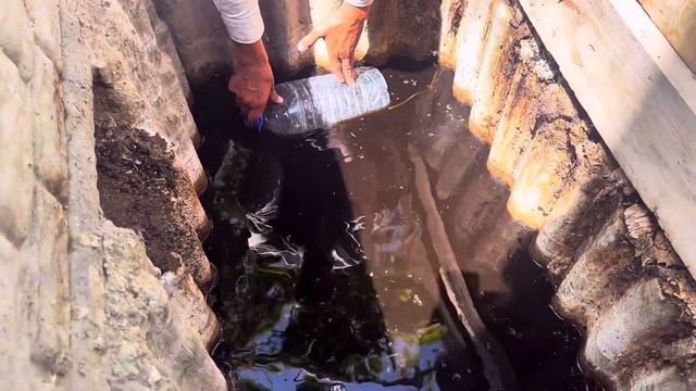 Био Чай Табигый. Кочотторго Пайда