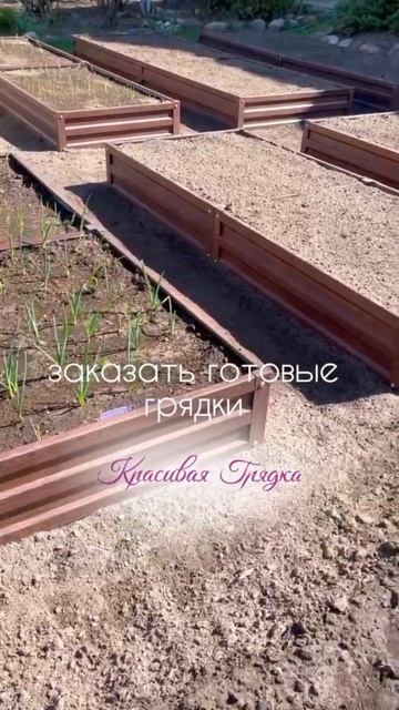 С нашими грядками огород — как с картинки, а спина — как у человека! 💪🌱 смотреть онлайн