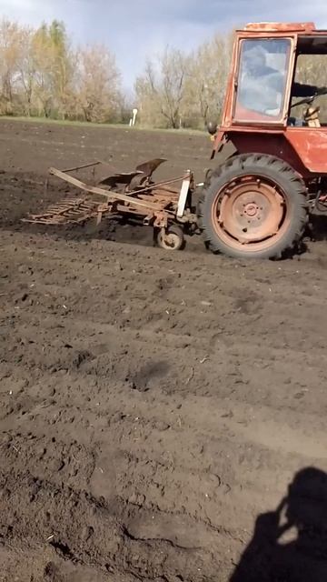 Культиватор на Т 25 смотреть онлайн