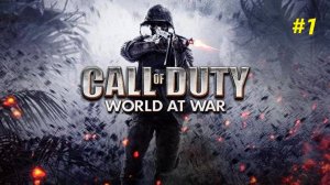 Прохождение игры Call of Duty: World at War. Прохождение #1.