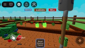 Вырасти сад