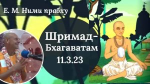 ШБ 11.3.23 / Е.М. Ними прабху