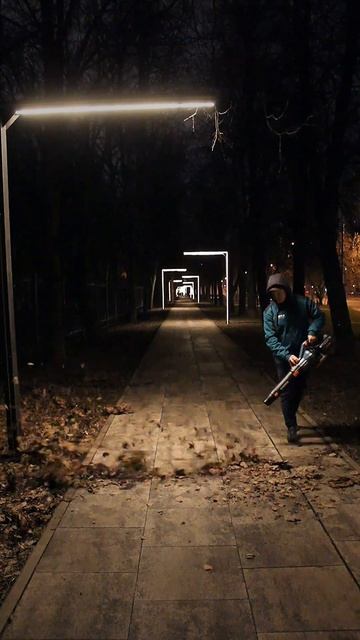 Сверхпроизводительная воздуходувка Senix Blax6 #shorts смотреть онлайн