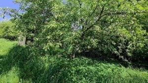 КРАСНОВОДСКАЯ