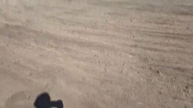 Борона с пружинным зубом БЗП 9,12,15,18,21,24 метра смотреть онлайн