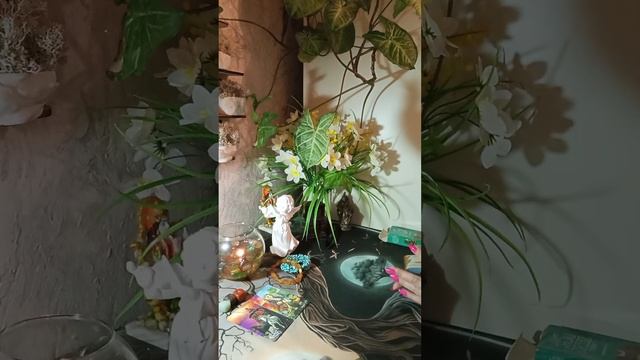 5 лунные сутки или зажигаем пространство предваритель