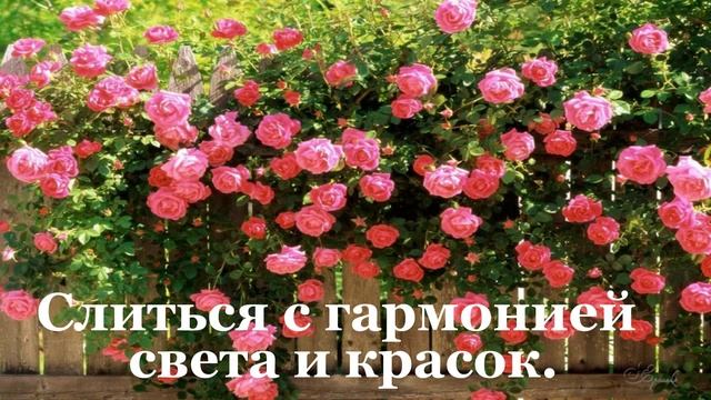 В МИРЕ ЦВЕТОВ.