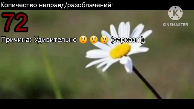 Разоблачение на "Разоблачение на Ёжики ТВ" от @ЛизаМир? смотреть онлайн