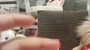 Распаковка кошечек