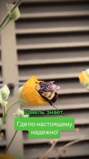 Ингкома | Фанера, ОСБ, ЛВЛ