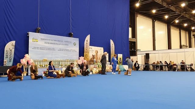 26.04.2025, СПб. Клуб 