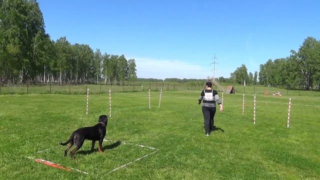 MAH00439 Катя и Мисс 1