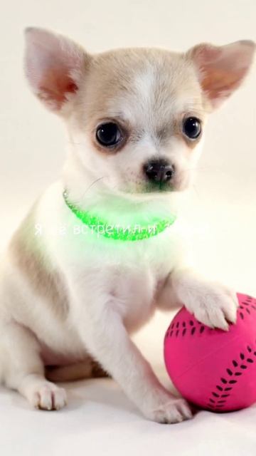 ну здесь уж точно можно поставить лайк 👍Я очень стара смотреть онлайн