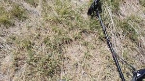 Несколько примеров работы c металлоискателям Skycruiser  S63