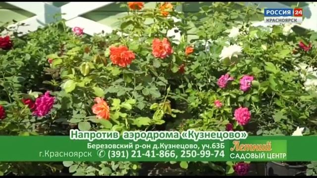 Местная реклама (Россия-24 Красноярск, 03.08.2024 г., 14.55 (мск) смотреть онлайн