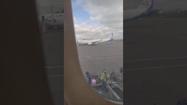 БАГАЖ АЭРОПОРТ ЖУКОВСКИЙ