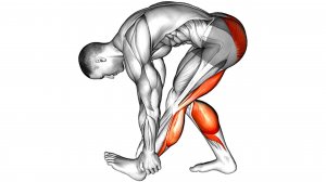 Как Разогреться и Растянуться Бегунам