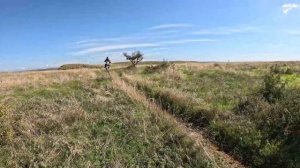 6 ДНЕЙ в гостях у Филимон Фил | Одесса, Море, Лиман | 1300 к?