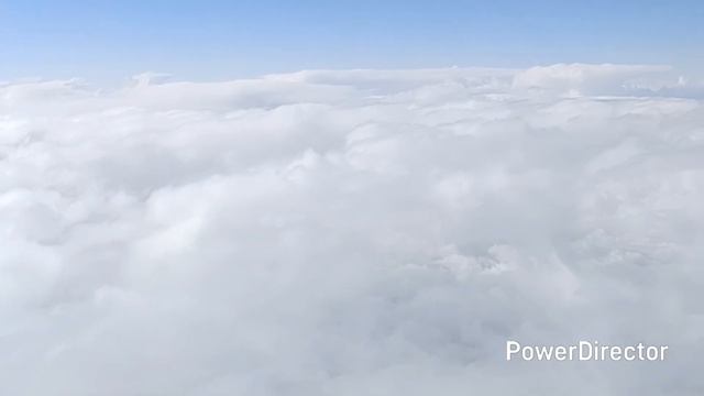 KARIARDE-Пристегните ремни