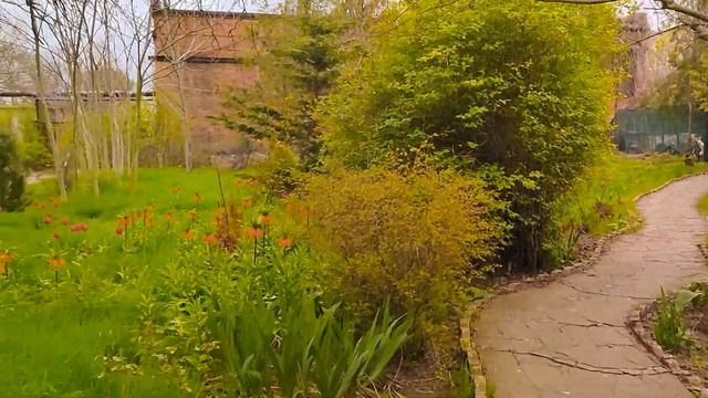 Садовый центр ТВОЙ САД и его окрестности в Бердянске в смотреть онлайн