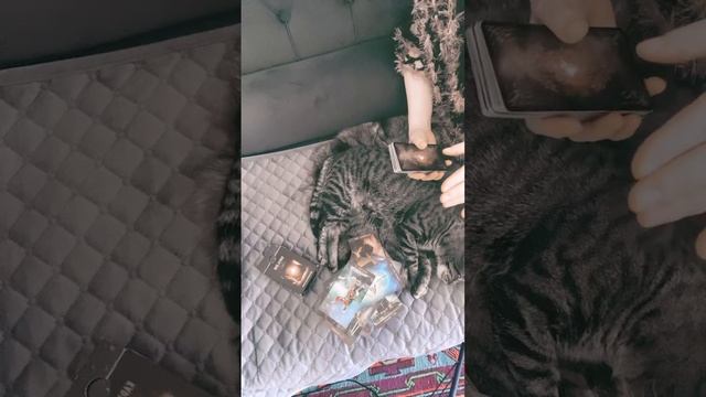 3 часть про финансы и отношения смотреть онлайн
