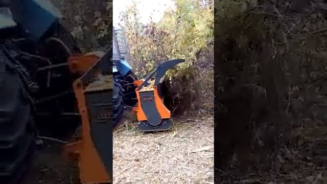 UM Forest обкатался смотреть онлайн