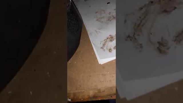 Разбил планшет и светошар!