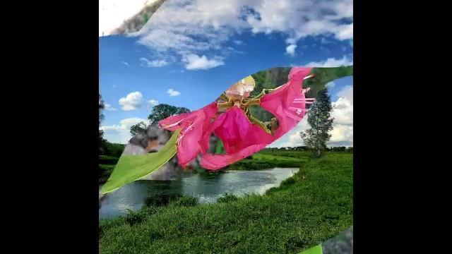 Прекрасное начало июня💚💕💛.mp4 смотреть онлайн