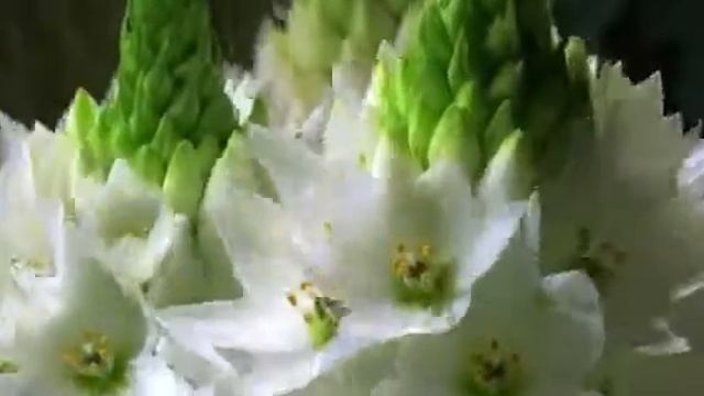 800000523-LP С Днём рождения (2.06) смотреть онлайн